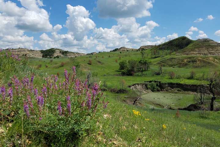 Dakota Prairie Grasslands